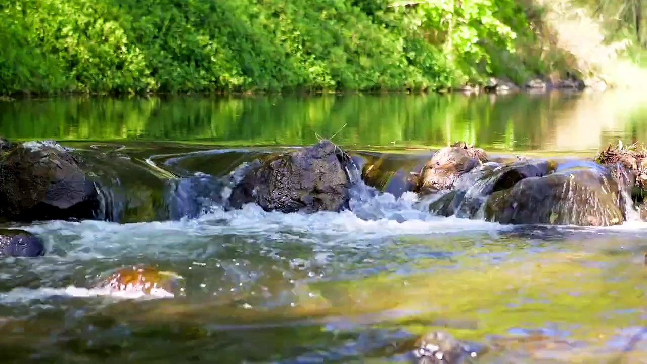 Dayspring, Kerry, Qld | October 1, 2024 | Farmonline