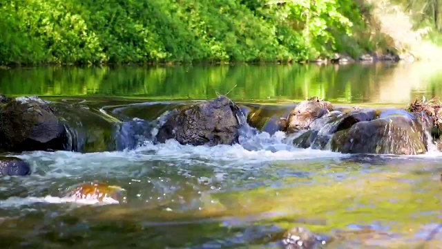 Dayspring, Kerry, Qld | October 1, 2024 | Farmonline