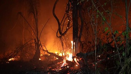 Bolívia decreta 'desastre nacional' por incêndios florestais