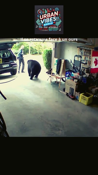 Il se retrouve face à un ours