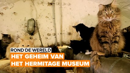 De bijzondere nachtwakers van het Hermitage Museum