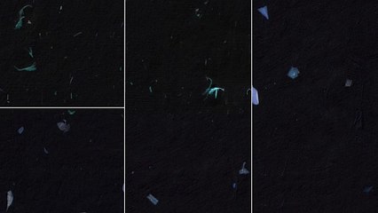 10 Floral Black Rice Paper Textures