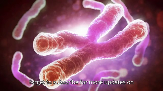 What Doctors Say about Rapamycin, the Magic Pill That Can 'Extend|Doctors React to Rapamycin: The Anti-Aging Pill You NEED to Know!