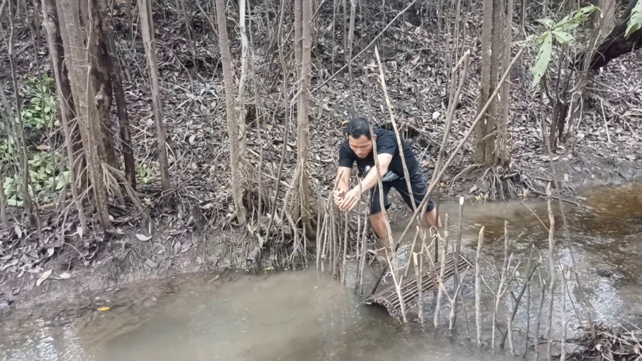 SET TRADITIONAL FISH TRAP TO GET BIG CATFISH AND GARBAGE FISH