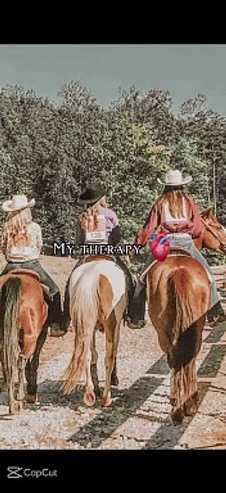 Horse loves