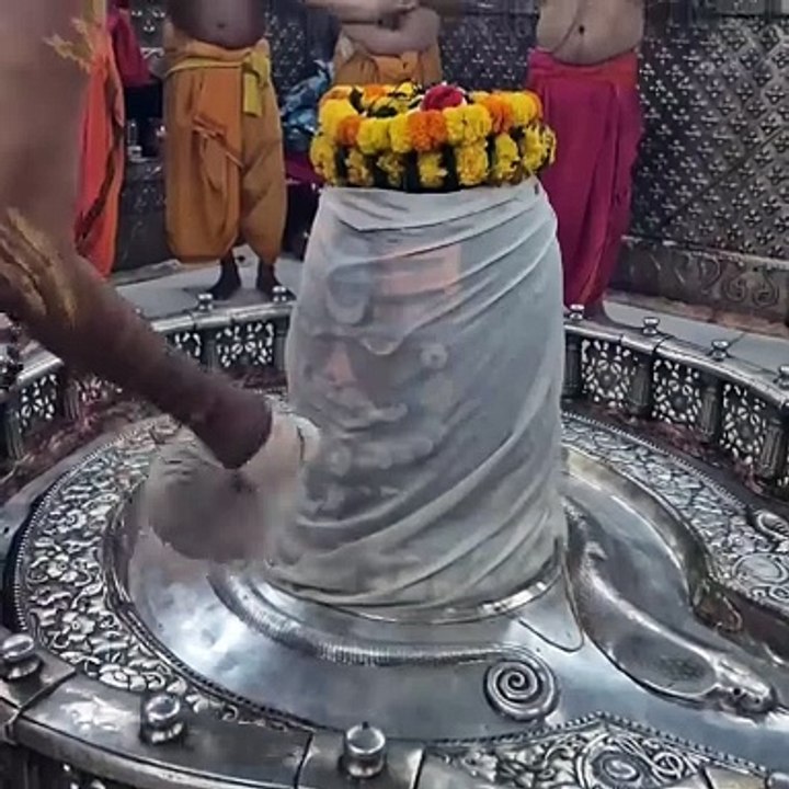 ॐ श्री महाकालेश्वराय भस्म आरती दर्शन  01-10-2024 Mahakaleshwar Bhasma Aarti Darshan #shortsvideos #youtubeshorts #mahakal #Aarti #mahadev #shivshankar #harharmahadev #jyotirling #bholenath #bholebaba