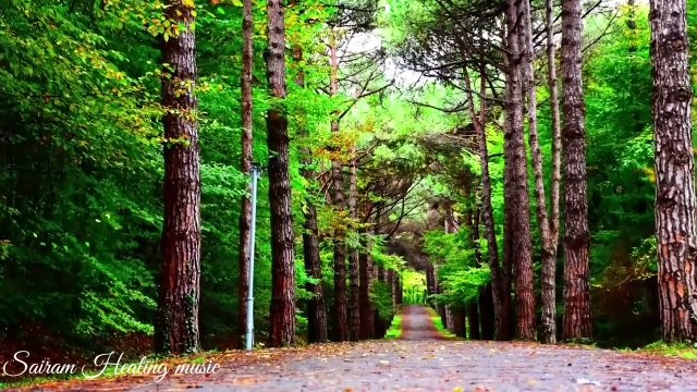 Relaxing yuvan Shankar instrumental music _yuvan Shankar raja instrumental music_ yuvan Shankar hits - Hogwarts gaming (720p, h264, youtube)