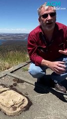 Why Australia has a 'Royal Loo' built for Queen Elizabeth II