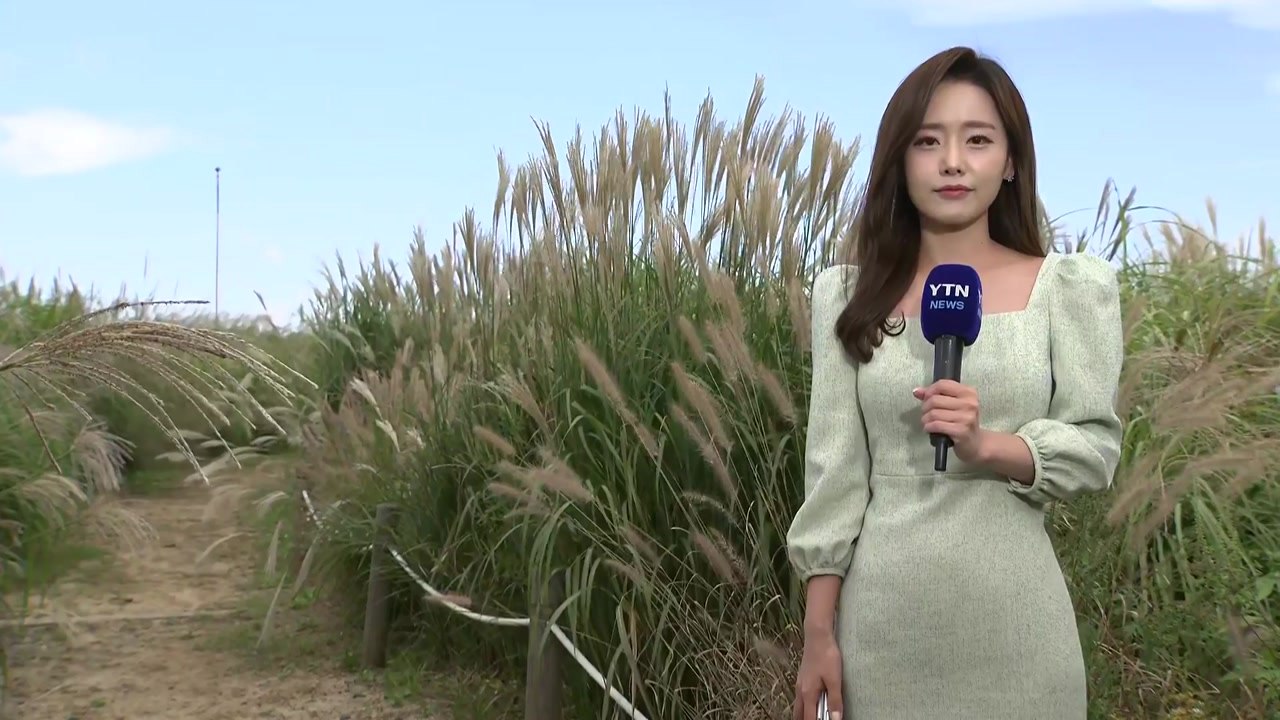 [날씨] 국군의 날, 전국 곳곳 비...찬 바람 불며 '쌀쌀' / YTN