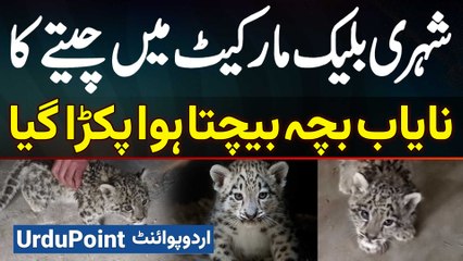 Black Market Mein Rare Baby Leopard Sell Karne Wala Pakra Gaya