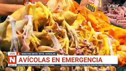 Avícolas en emergencia