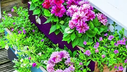 Easy DIY Projects Around The Home