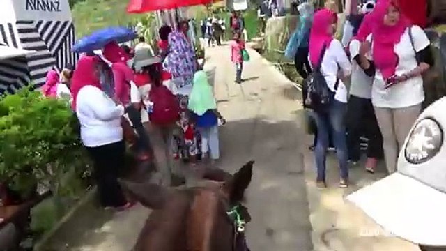 Keysha Naik Kuda tuk ki tak ki tuk ki tak ki tuk