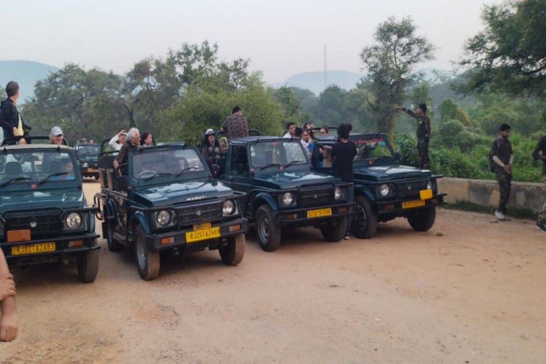 सरिस्का टाइगर रिजर्व तीन महीने बाद पर्यटकों के लिए फिर से खुला, पर्यटकों का हुआ स्वागत