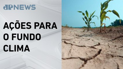 PEC permite turbinar crédito para agenda verde com até R$ 20 bilhões de fundos públicos por ano