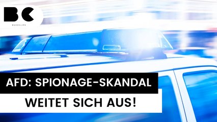 Chinesin festgenommen: Spionage-Skandal um AfD weitet sich aus