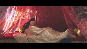 CHINESE  SEXY  MOVIES