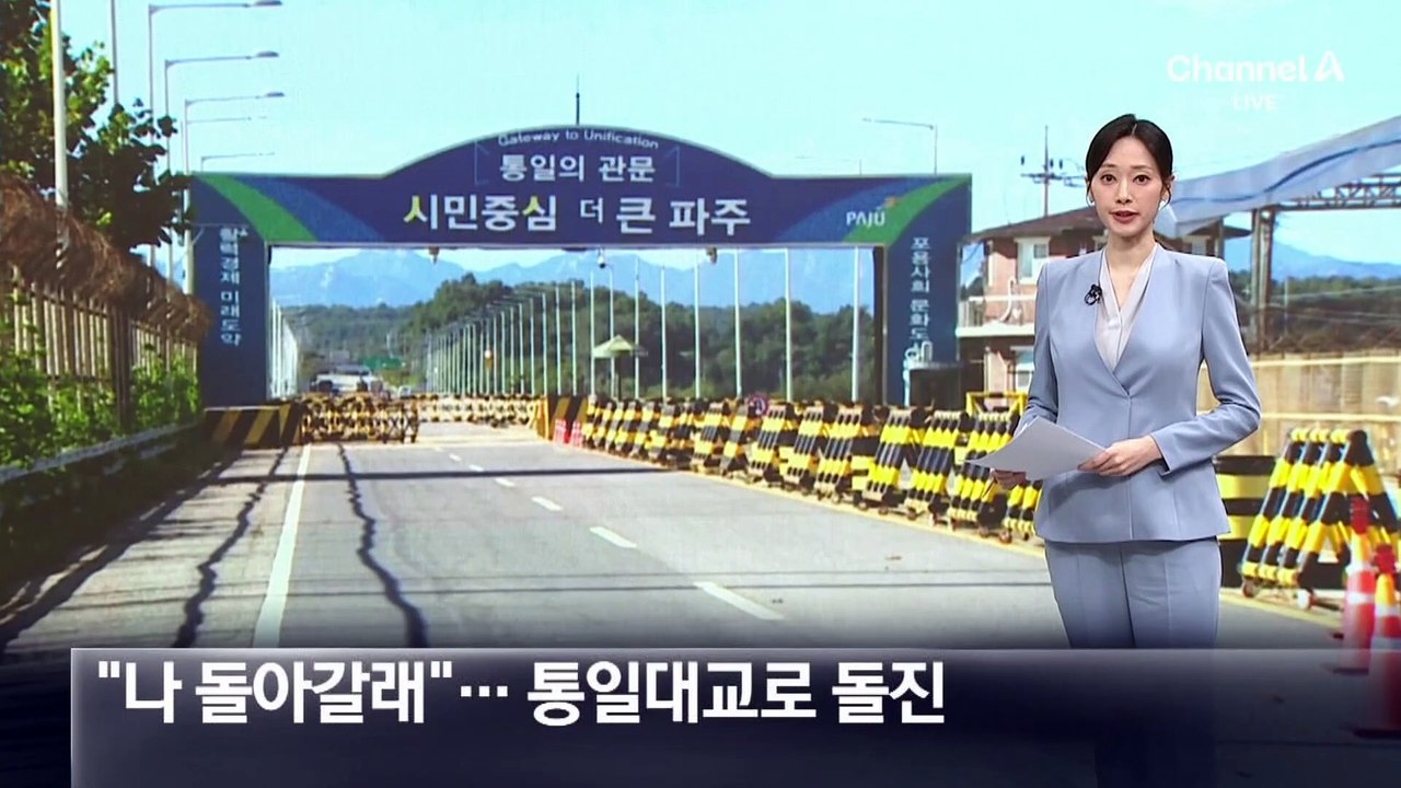 “北 돌아갈래”…마을버스 훔쳐 통일대교로 돌진