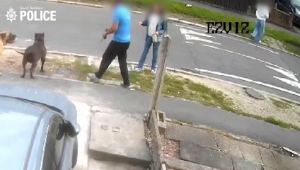 Dagnam Crescent dog attack: Police release shocking video as dog shot dead after attack on Sheffield estate