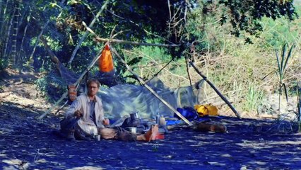 The boy trapped in the forest will come back alive _ Jungle Movie 2017 Explain In Hindi _ Urdu