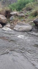 Cukup putar Dengarkan...Cepat Tertidur lelap tanpa obat, langsung alami mimpi  #soothingsounds #natureriversounds #mountainnaruralriversounds #ambience #meditation #nature