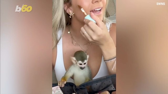 Content Creator Gets Slammed By Critics For Having Pet Monkeys