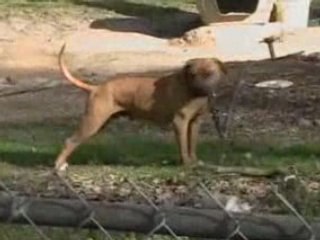 Global Reasons: The Results of a Home Fire