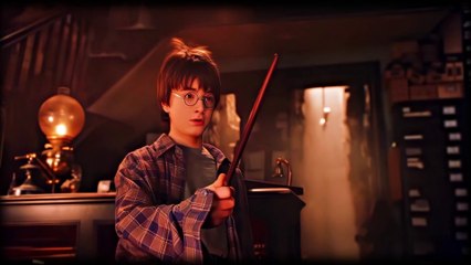 HollyWood Harry Potter 4K edit || 120fps video