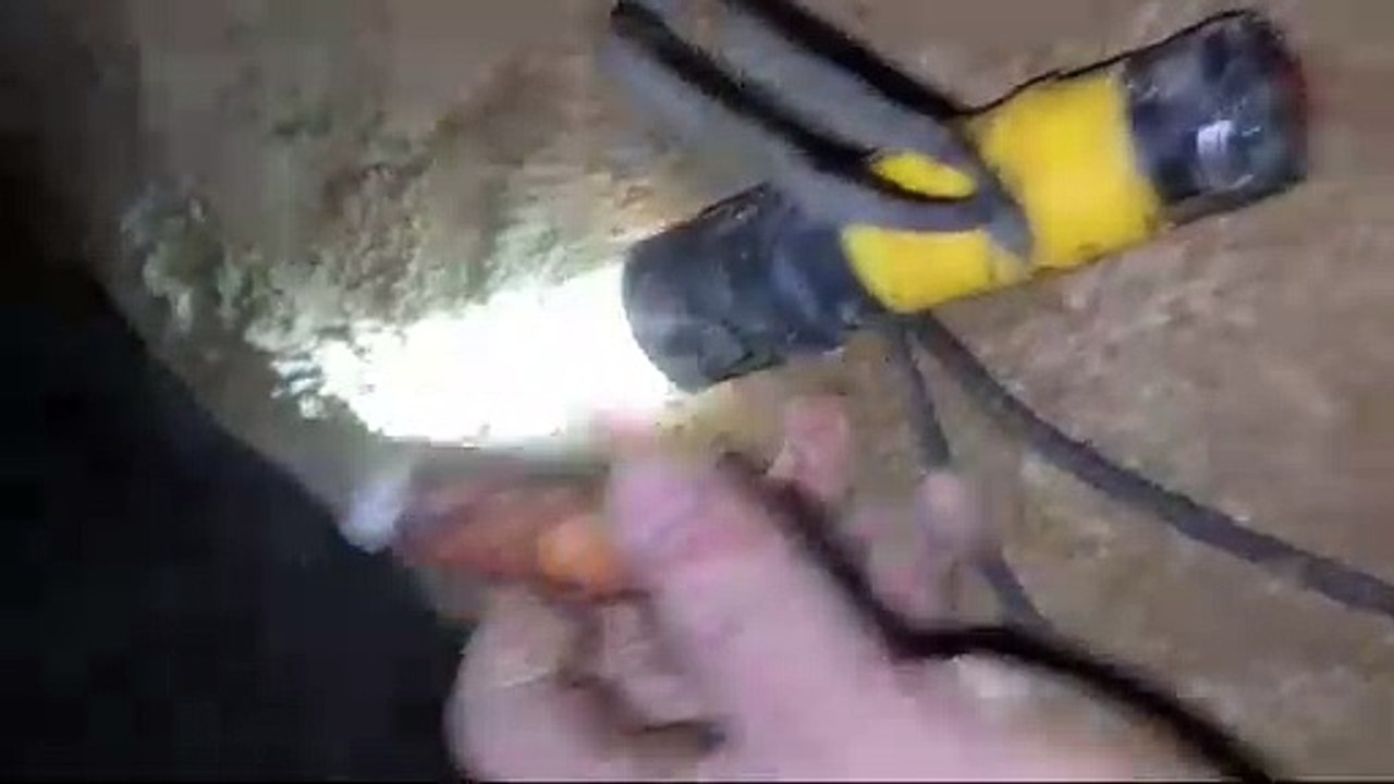 Volunteers try to rescue dog stuck between rocks in Halifax