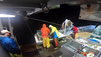 10 BIGGEST CATCHES OF ALL TIME