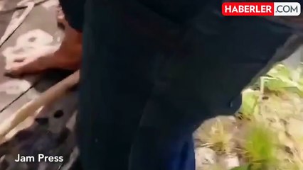 Kurtulmak için başka çaresi yoktu, canını zor kurtardı