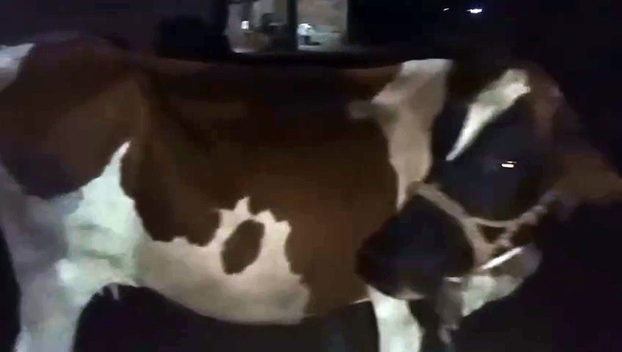 1000009821