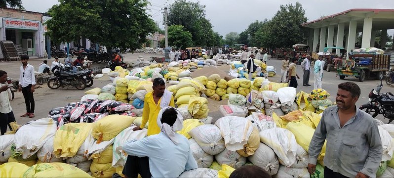 नए बाजरे से कृषि मंडी हो रही गुलजार, कम आवक होने से शुरुआत में ही भावों में उछाल