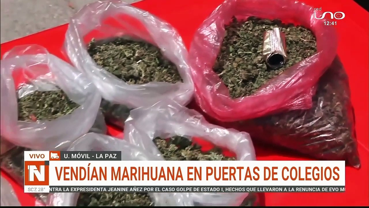 Vendian Marihuana cerca de colegios