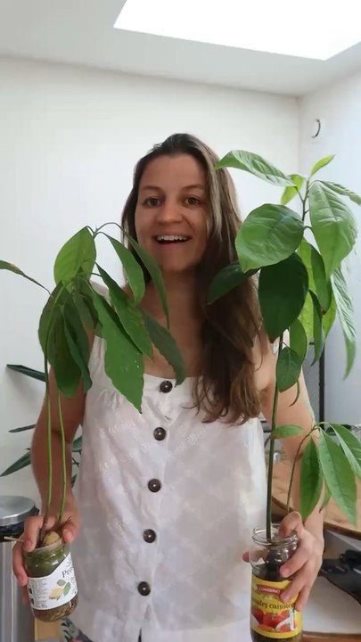 L’astuce ultime pour faire pousser des plantes gratuitement ‍