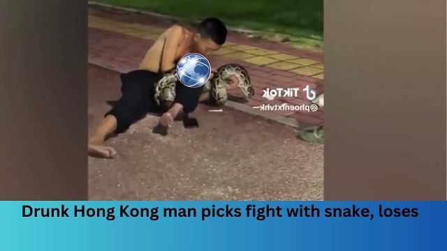 Drunk Hong Kong man picks fight with snake, loses’#breakingnews #worldnews #news