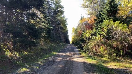 1 OCT TOPO MS incendie Mortel Gaspé