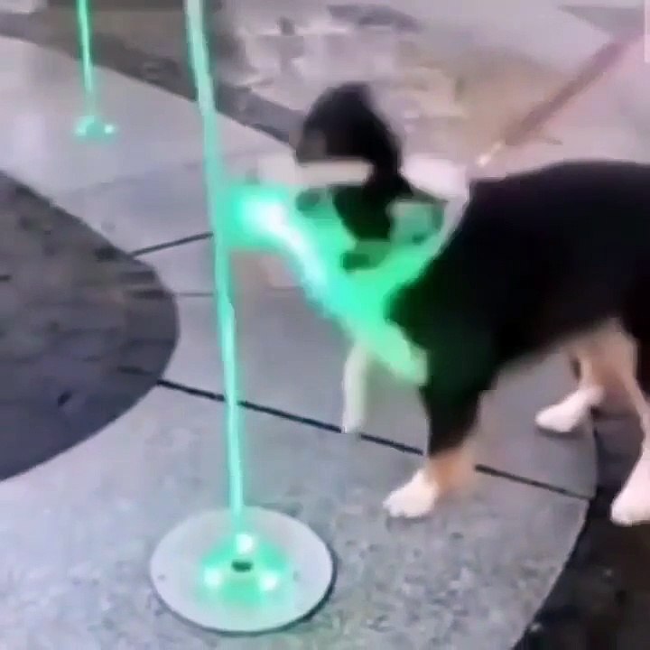 Try Not to Laugh Challenge - Very Hard! (Part 1)