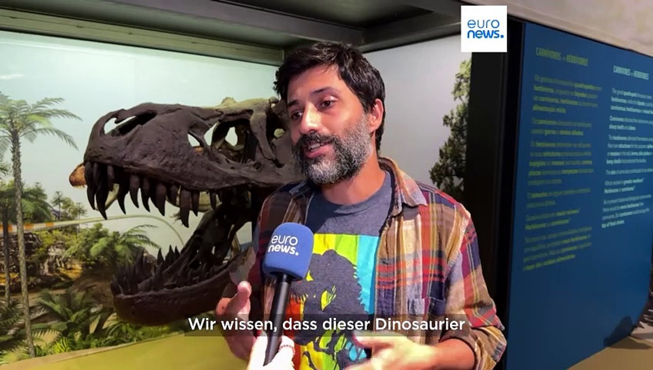 15 Meter lang, 10 Tonnen schwer: Neuer Dinosaurier aus der Kreidezeit entdeckt