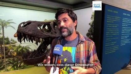 15 Meter lang, 10 Tonnen schwer: Neuer Dinosaurier aus der Kreidezeit entdeckt