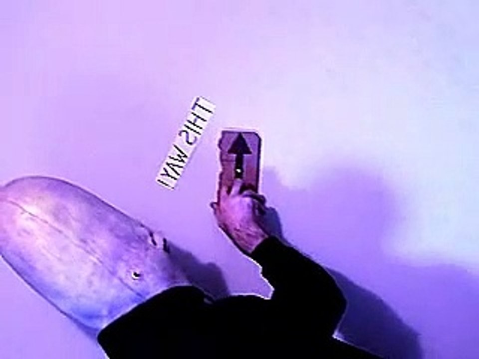 Pickle Head and The Magic Arrow