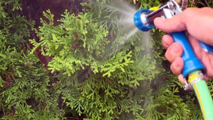 01 oct TOPO FC Chandler compteur eau