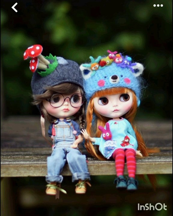 Dolls collection