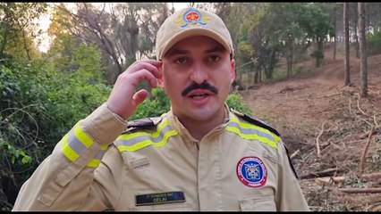 Homem morre ao ser atingido por árvore em Rio do Salto