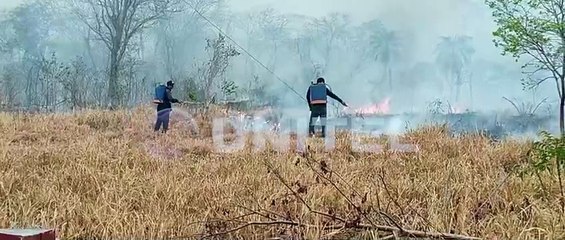 Vecinos luchan contra el fuego en la carretera a Concepción; viento dificulta la labor