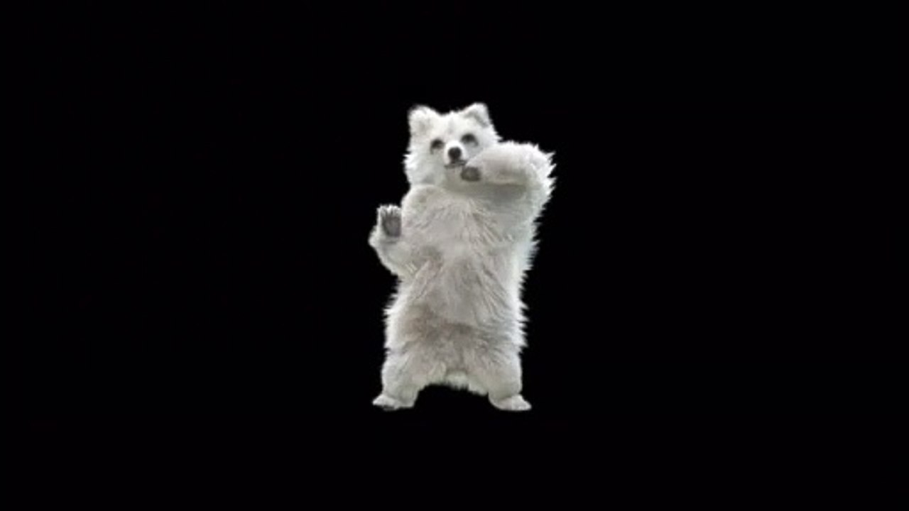 Bear dancing with swaaag