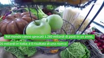 Pasti sprecati: in Italia ne gettiamo 4,2 miliardi all'anno