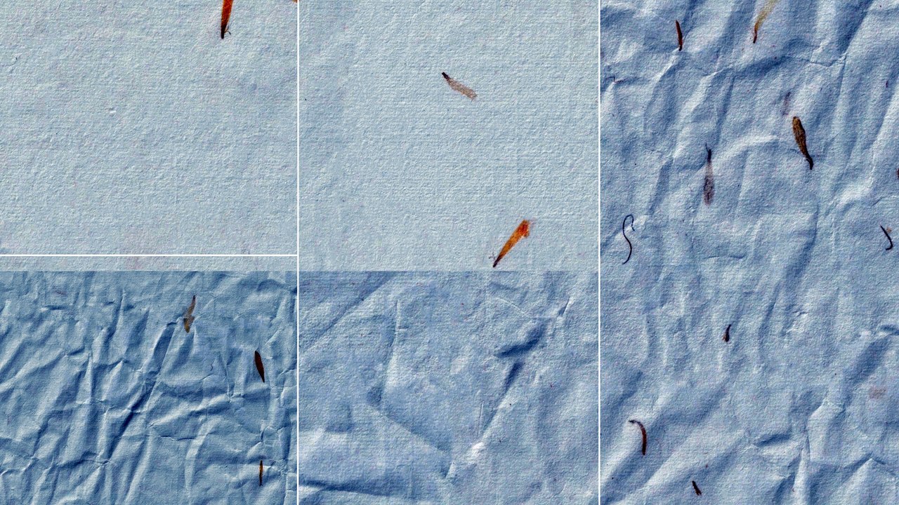 10 Yellow Petals Paper Textures Backgrounds