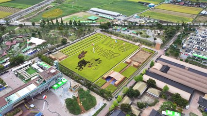 가을 정취 속 농경문화 체험...김제 지평선축제 개막 / YTN