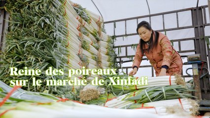 Reine des poireaux sur le marché de Xinfadi